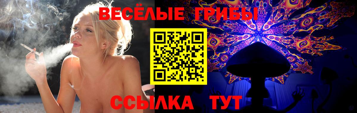 купить закладку  Вход с VPN  Камышлов  Галлюциногенные грибы прущие грибы 